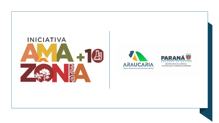 logo Iniciativa Amazônia +10(2).png